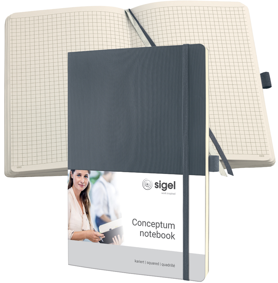 Visuel de référence: Carnet Conceptum, gris