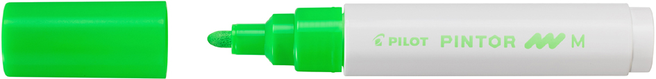 PILOT Marqueur à pigment PINTOR, medium, vert fluo