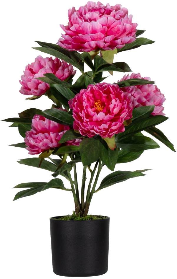 Plantes artificielles