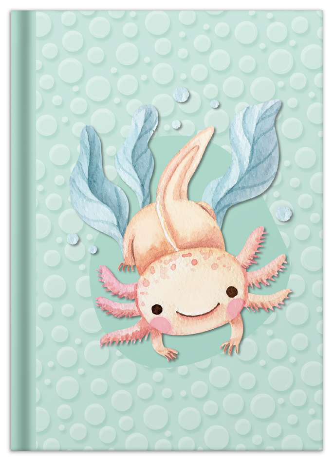 Carnets de notes à motifs, A5