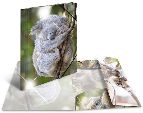 HERMA Chemise à élastiques 'koala', PP Glossy, A4