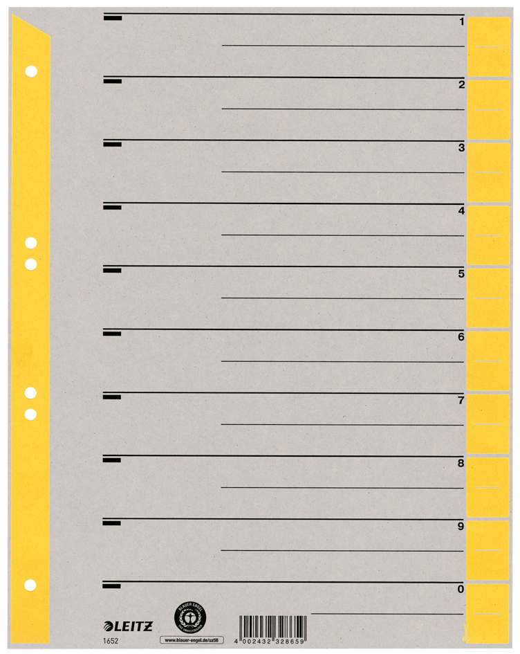 LEITZ Intercalaires, format A4 extra large, en carton solide
