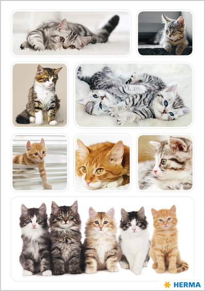 HERMA Autocollants DECOR 'Chatons'