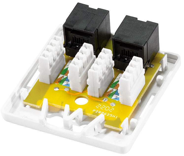Prise cat. 6A avec boîtier en saillie, 2x RJ45
