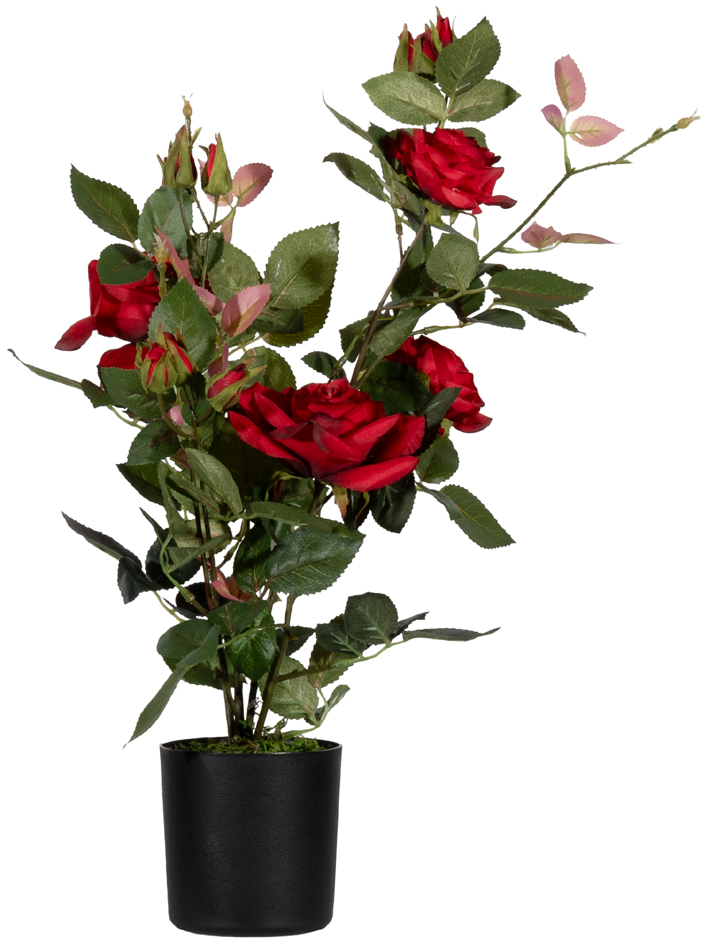 Plantes artificielles