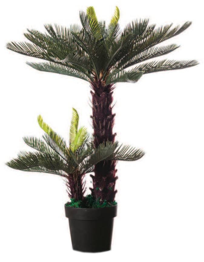 Plantes artificielles