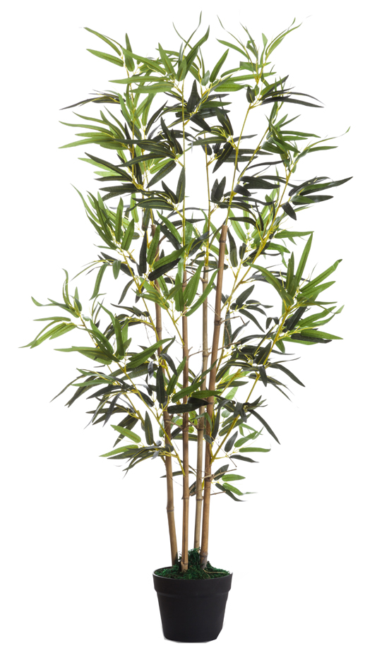 Plantes artificielles