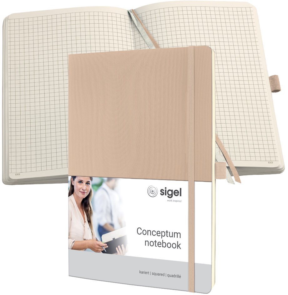 Visuel de référence: Carnet Conceptum, beige