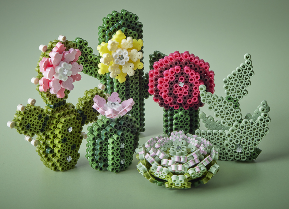 Visuel de référence: Perles à repasser midi Art "Succulentes"