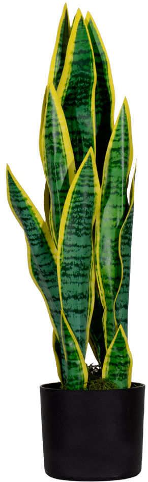 Plantes artificielles