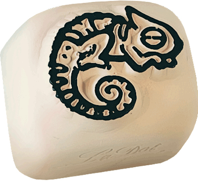 Caméléon