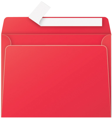 Pollen by Clairefontaine Enveloppes C5, rouge groseille