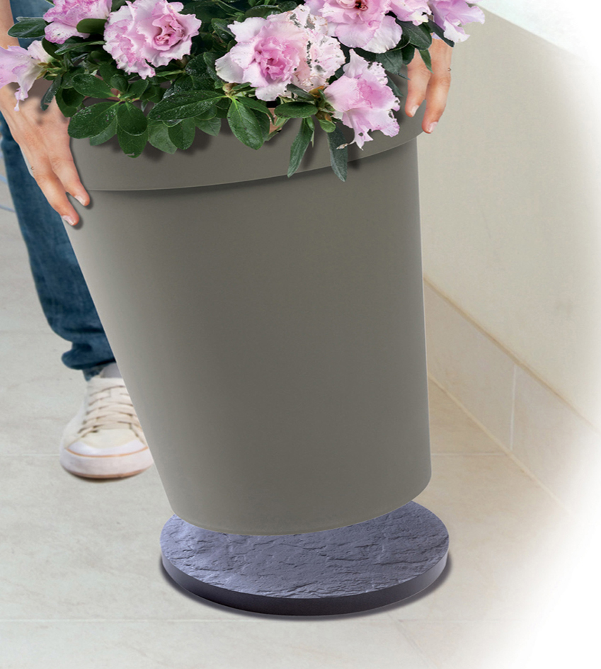 Rouleurs à plantes