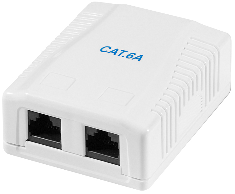 Prise cat. 6A avec boîtier en saillie, 2x RJ45