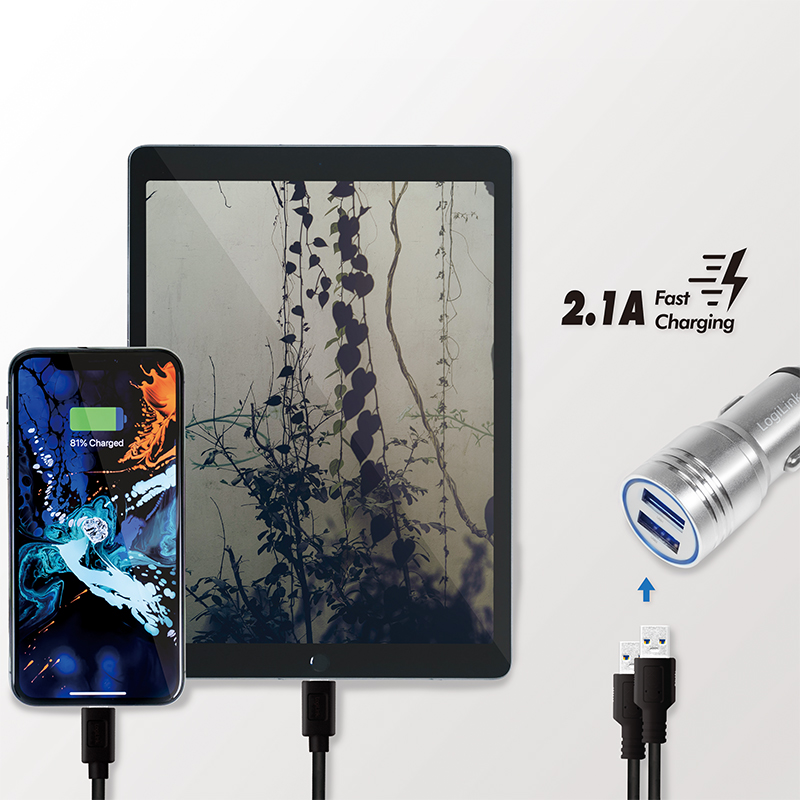 Chargeurs pour automobible