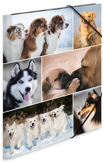 Chemise à élastiques "Chiens"