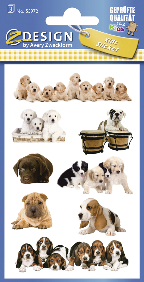 Chiots (55972)