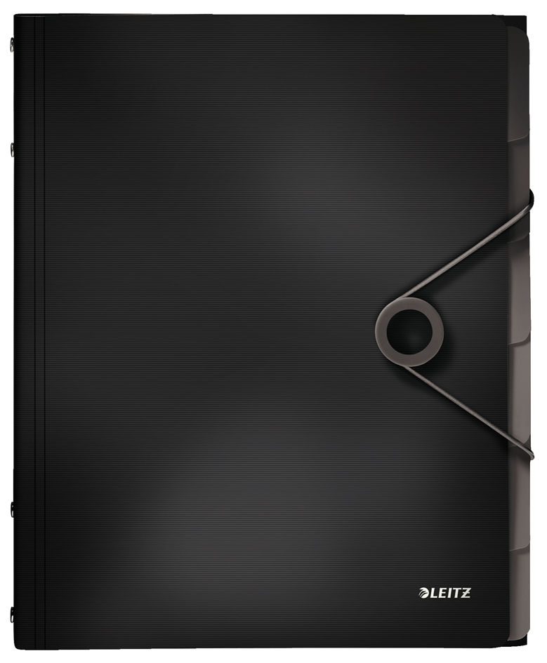 LEITZ Trieur Solid, A4, pp, 12 compartiments, noir