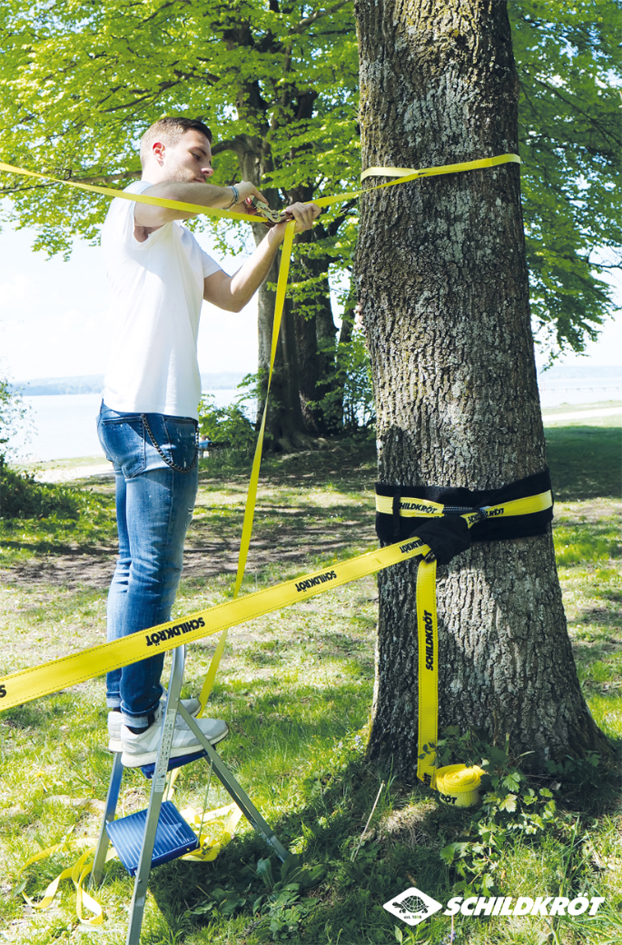 SCHILDKRÖT Slackline, longueur: 15 m, jaune