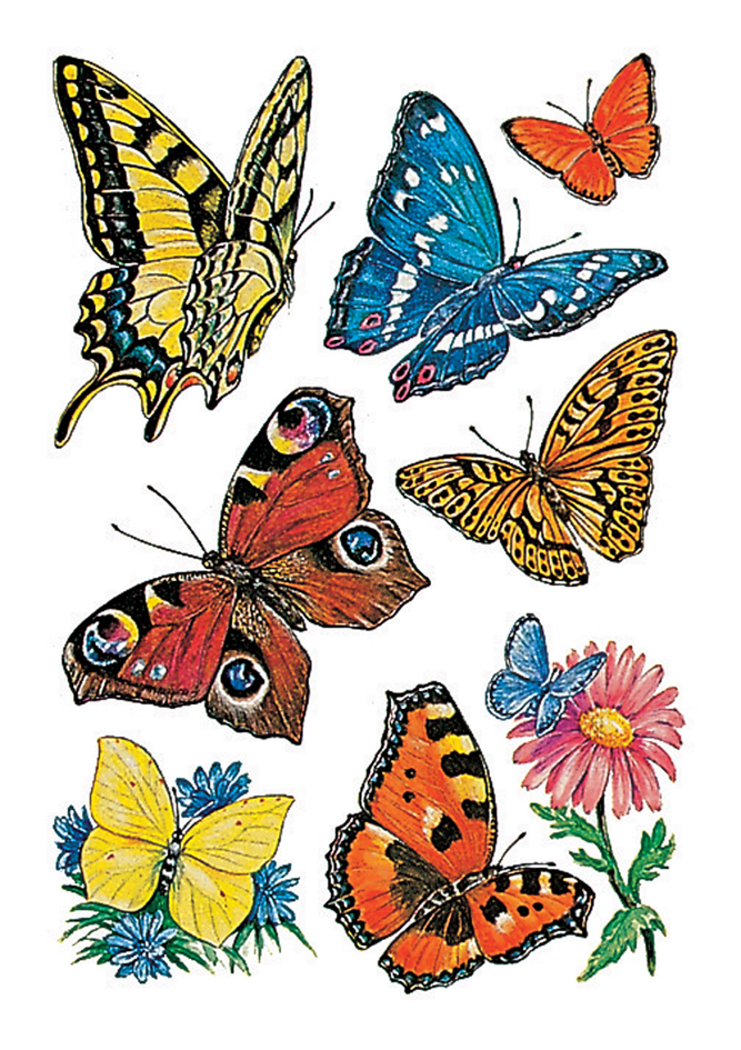 Papillons