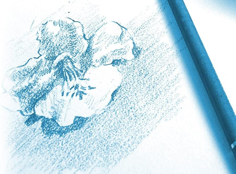 Clairefontaine Bloc spiralé papier dessin à Grain, A4 A4 180 g/m2 30 feuilles blanc