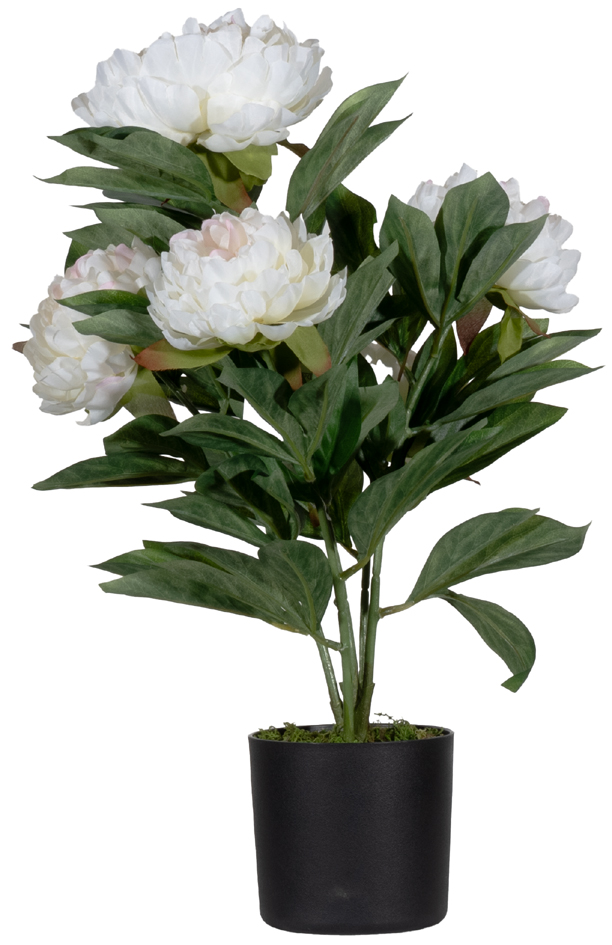 Plantes artificielles