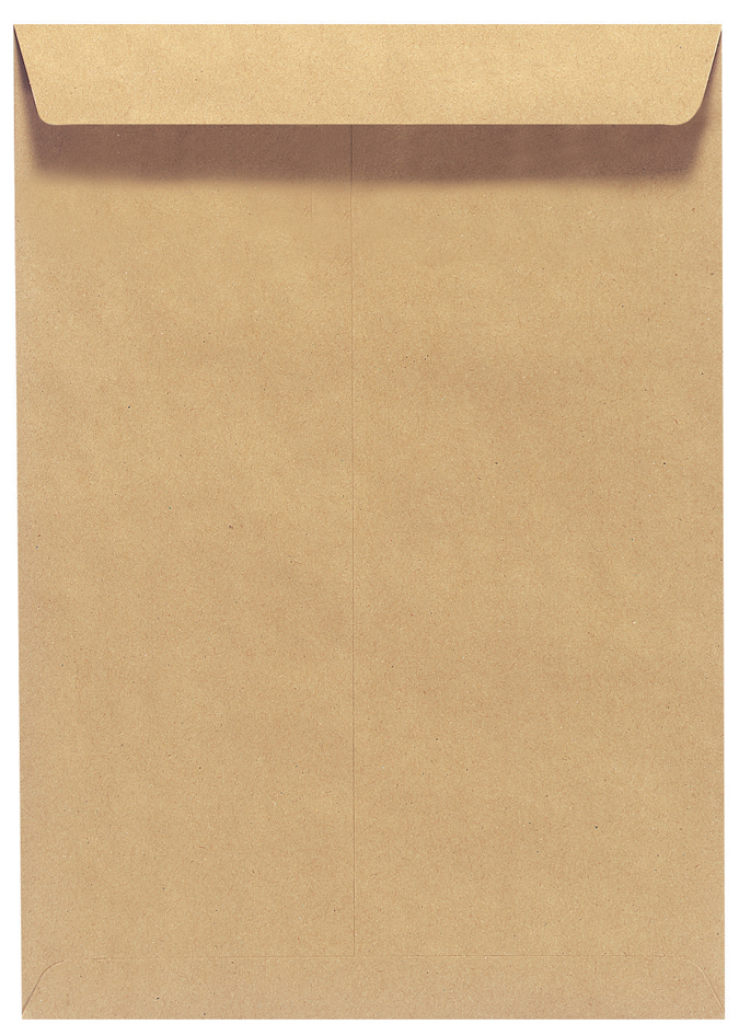Visuel de référence: Pochette d'expédition sans fenêtre, face arrière