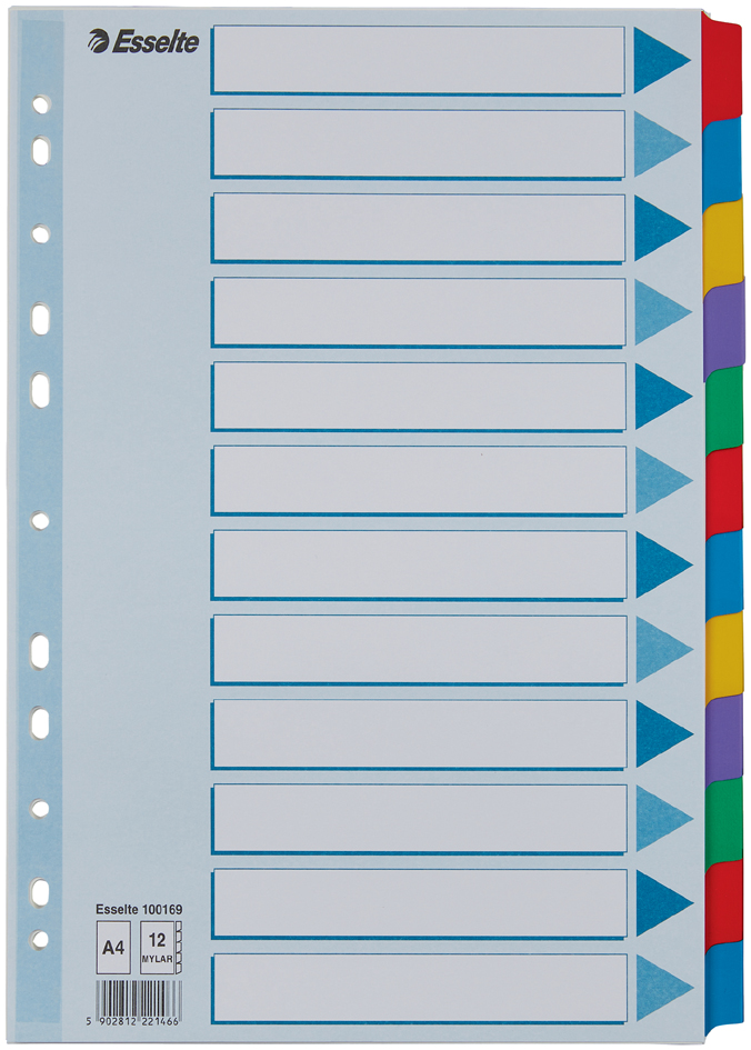 Esselte Intercalaires en carton, uni, A4, 12 touches