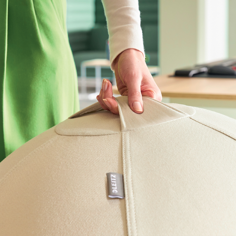 Visuel de référence : présente la poignée de transport