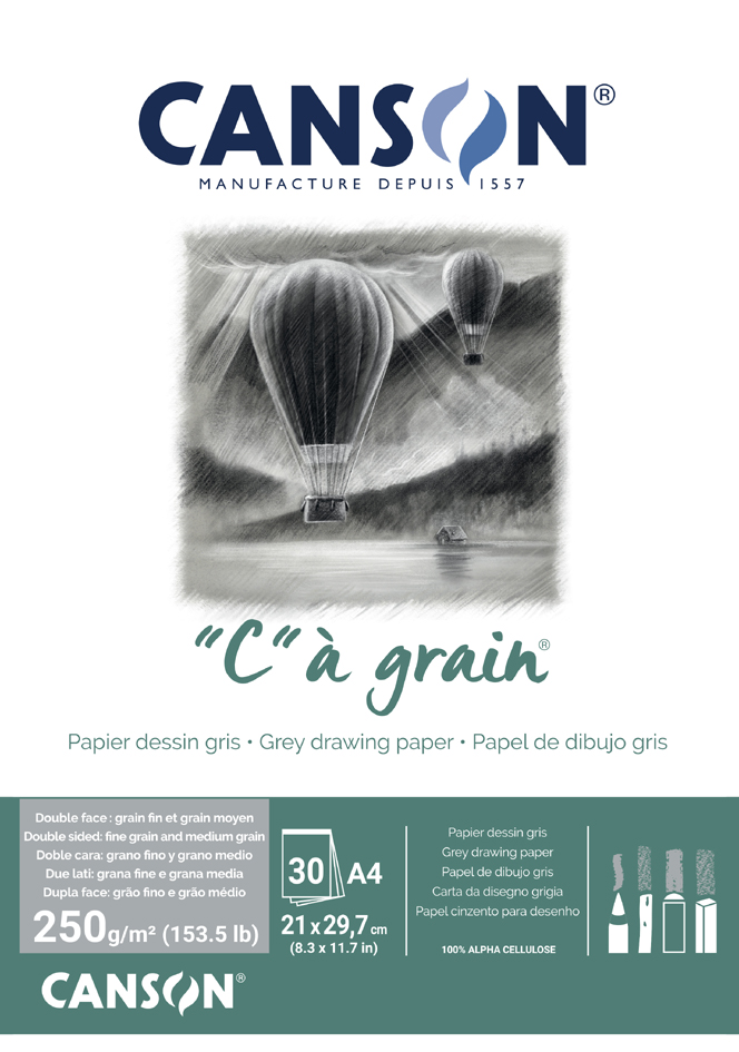 CANSON Bloc papier dessin 'C' à grain Couleur, gris chiné