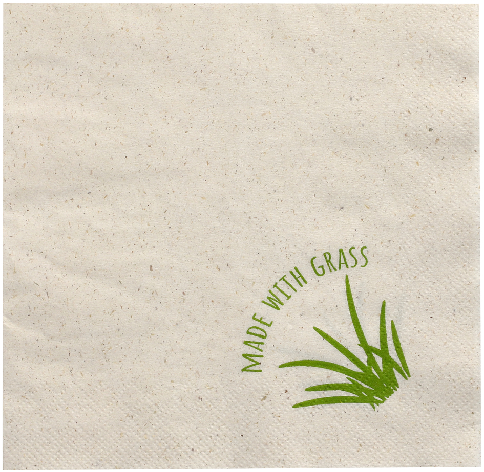 PAPSTAR Serviette de table, 300 x 300 mm, naturel