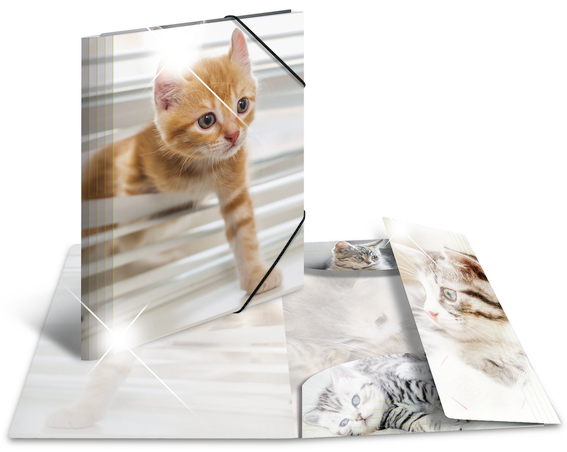 HERMA Chemise à élastiques 'chats', PP Glossy, A3