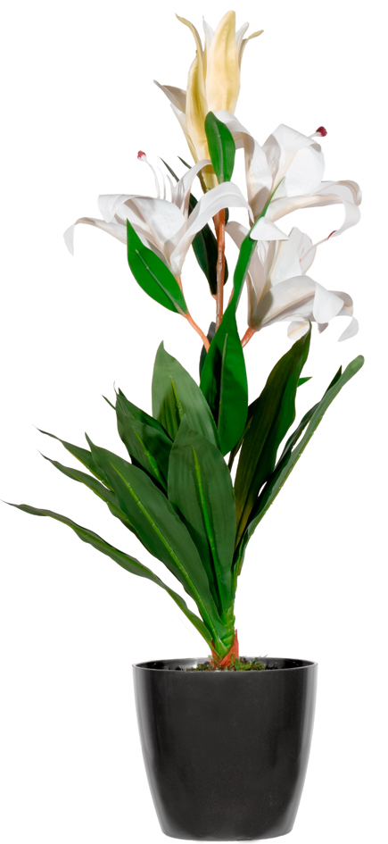 Plantes artificielles