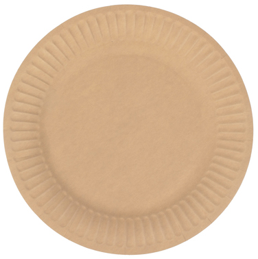 Visuel de référence : assiette jetable