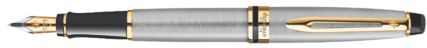 WATERMAN Stylo plume Expert, Metallic G.T.