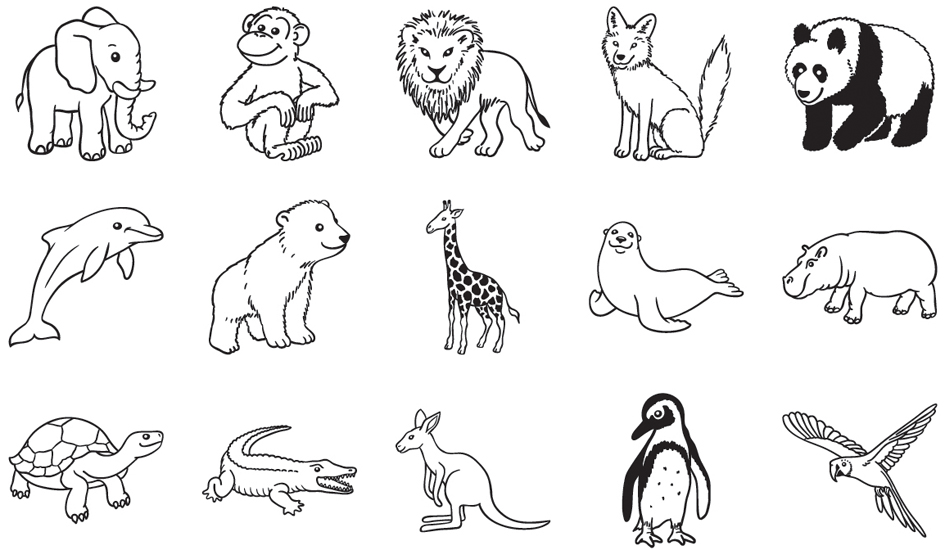 Kit de tampons à motifs "animaux du zoo", motifs