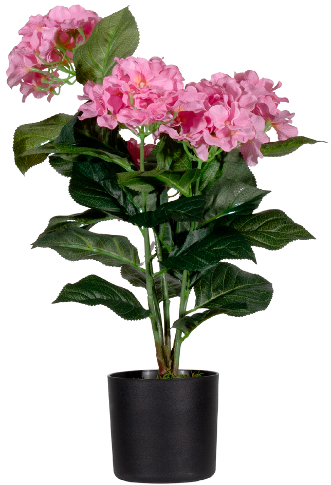 Plantes artificielles