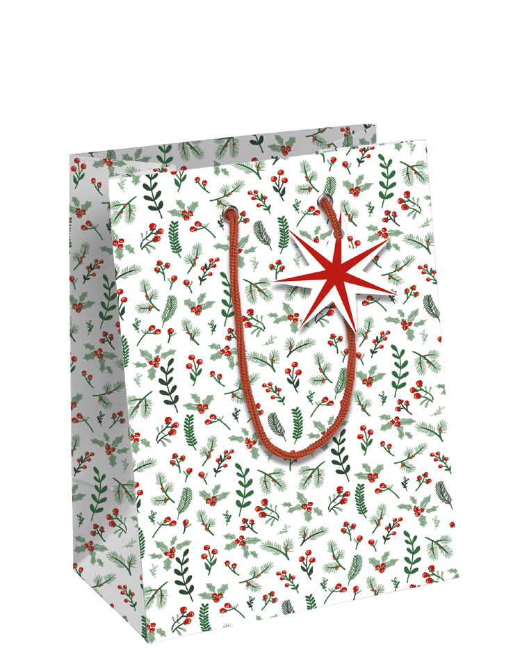 Clairefontaine Sac cadeau de Noël 'Cosy', moyen