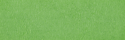 folia Papier crépon, (l)500 mm x (L)2,5 m, vert-jaune