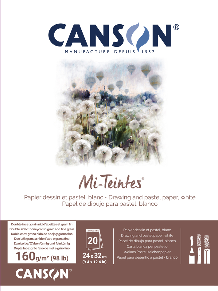 CANSON Papier beaux-arts Mi-Teintes, en album, 240 x 320 mm