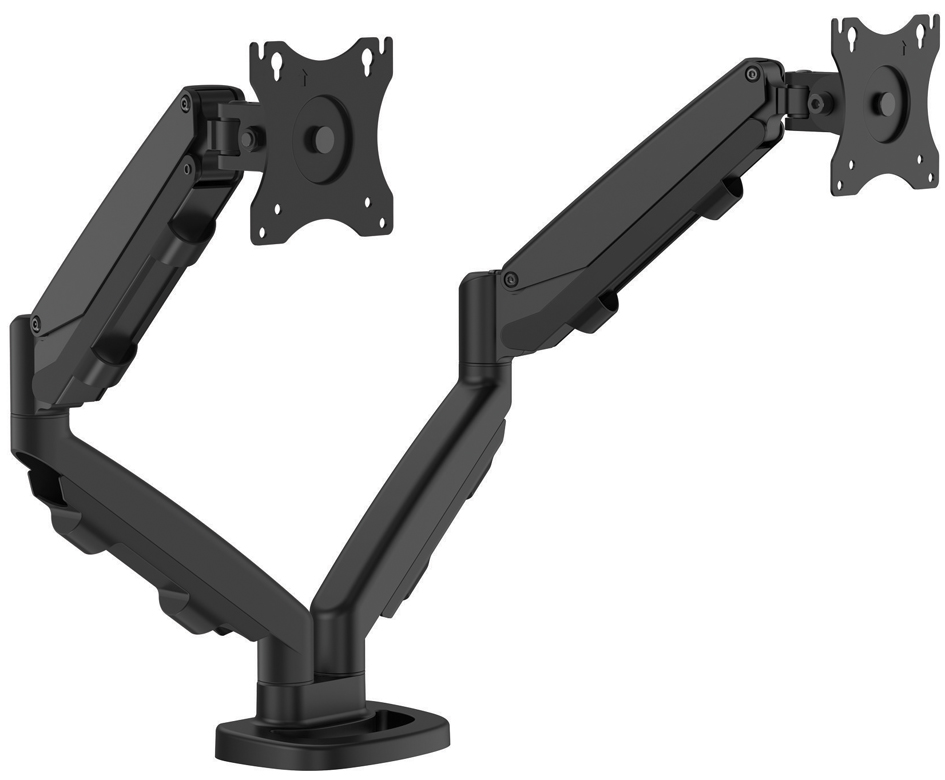 Fellowes Bras porte-écrans double Eppa, noir