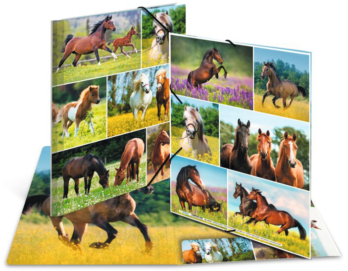 Chemises à élastiques carton pour A4
