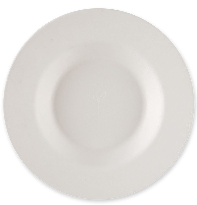 Assiettes jetables, canne à sucre