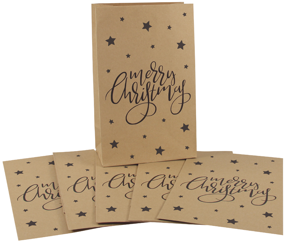 CACTUS Pochette cadeau de Noël 'Merry Christmas', 100x160 mm