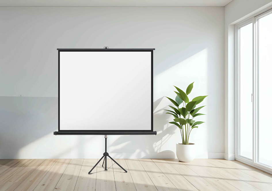 Toiles de projection