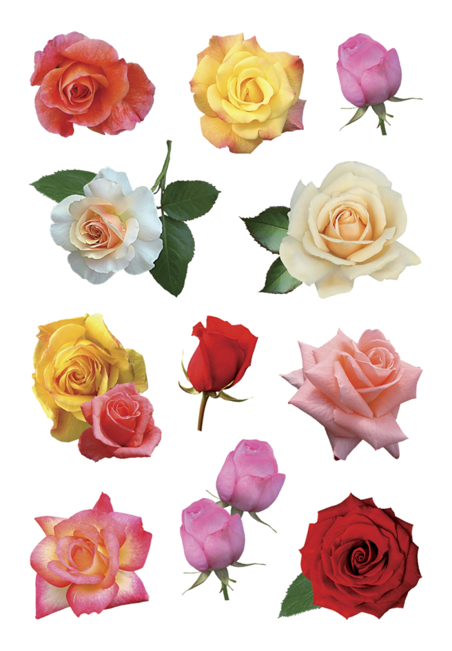 HERMA Sticker DECOR 'Boutons de rose multicolores'