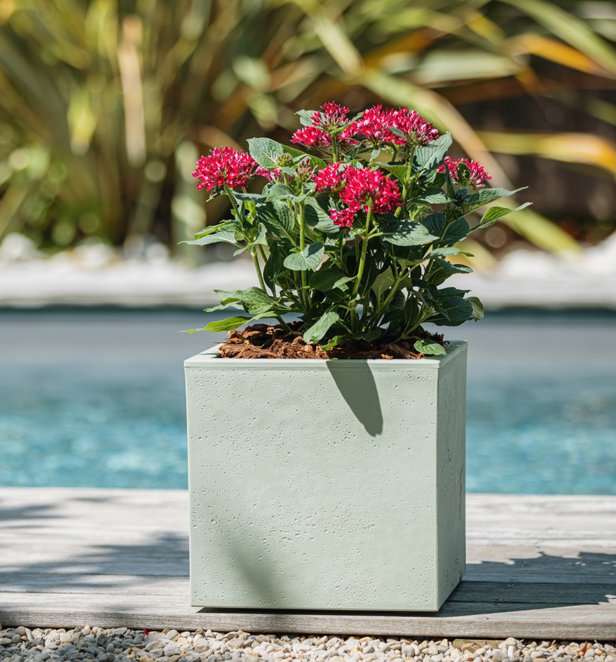 Cubes à plantes, carré