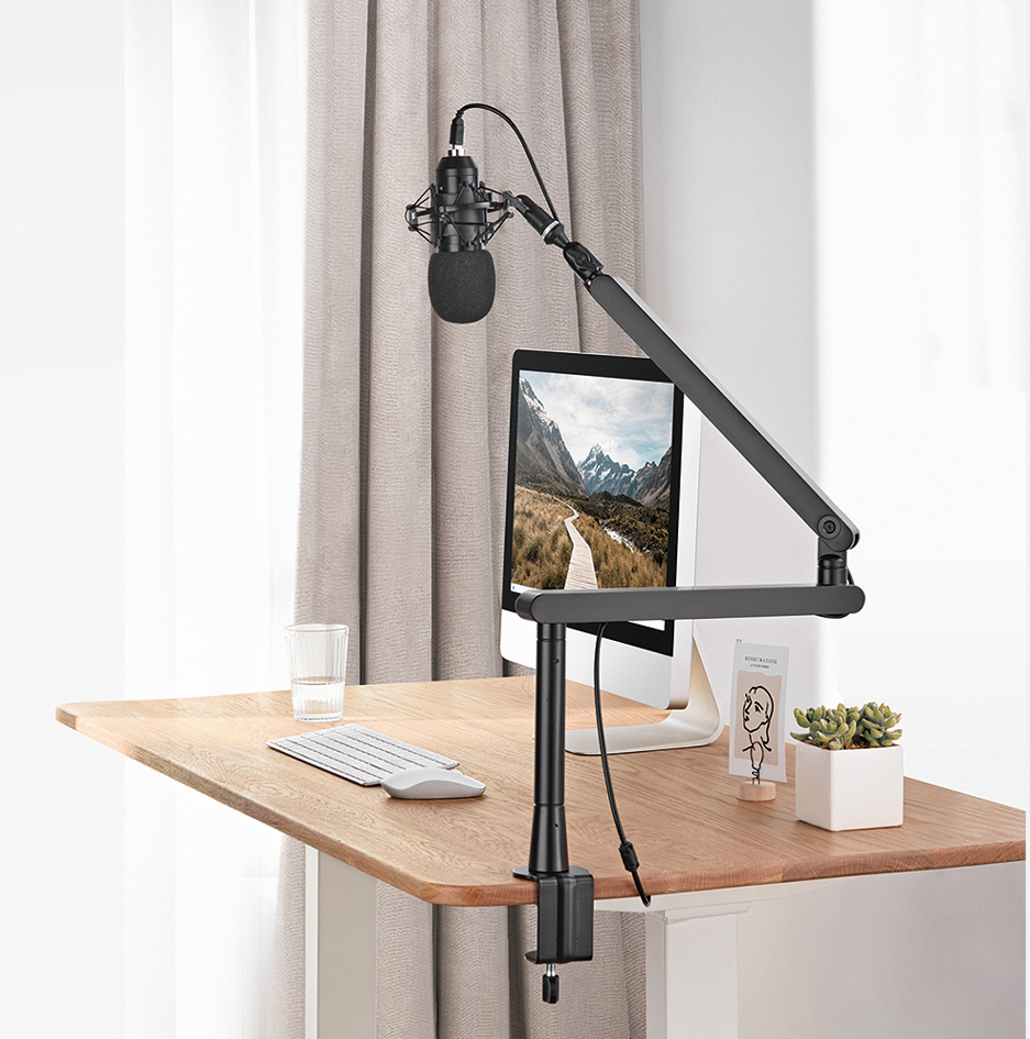 Supports pour microphones