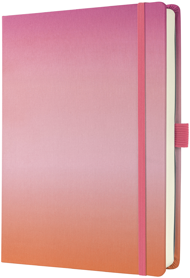 Carnets de notes, BuJo