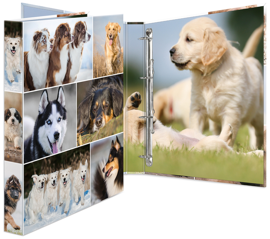 HERMA Classeur à anneaux 'chiens', A4, mécanisme à 4 anneaux